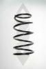 SPIDAN 56693 Coil Spring